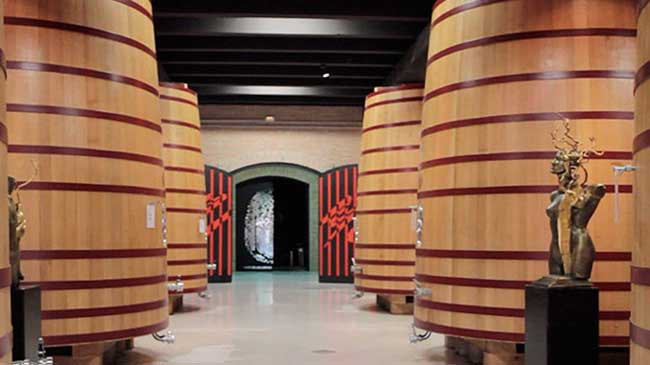 Interior de una de las bodegas de Garc&iacute;a Carri&oacute;n