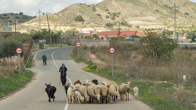 Zona oeste de Cartagena