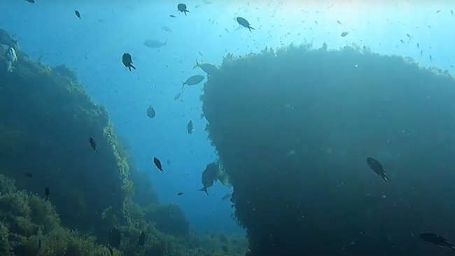Reserva marina de Cabo Ti&ntilde;oso - Ministerio de Pesca
