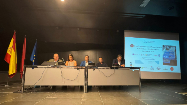 Presentaci&oacute;n del foro