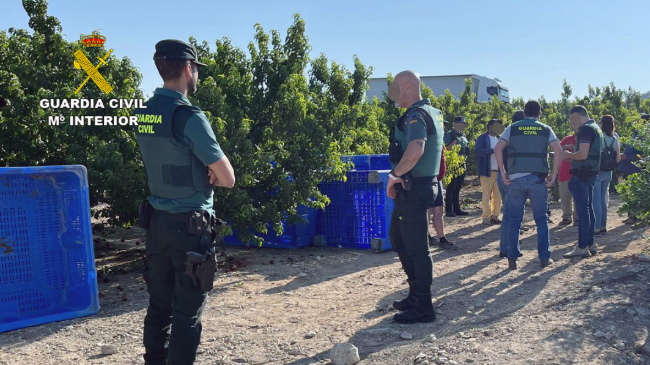 Imagen de la Guardia Civil realizando una inspecci&oacute;n de trabajo
