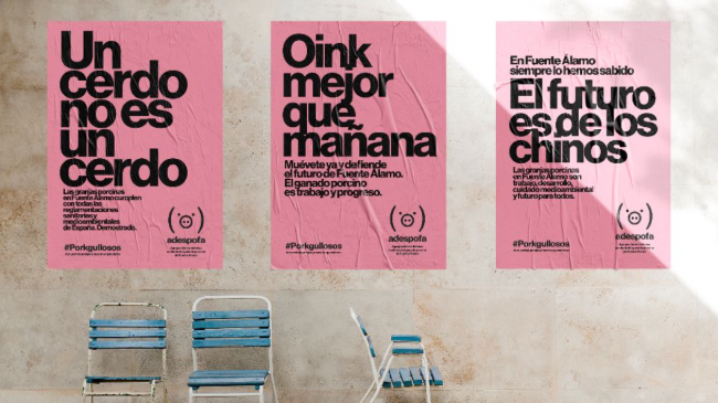P&oacute;sters de la campa&ntilde;a
