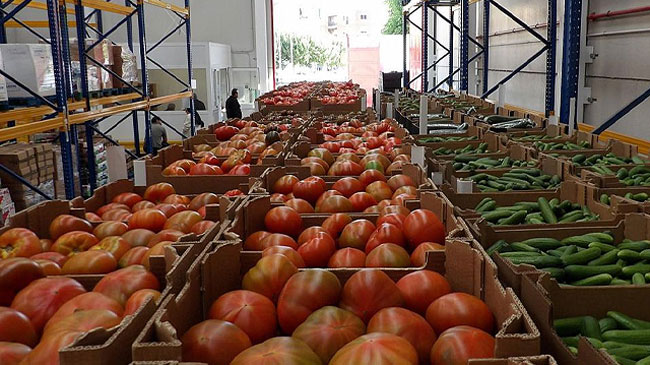 Tomate marroqu&iacute; listo para ser embarcado hacia la UE