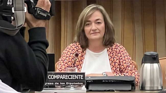 Cristina Herrero, presidenta de la Autoridad Fiscal Independiente, hoy en el Congreso