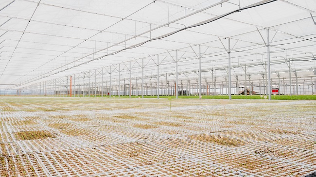 Instalaciones de Semillero Los Crespos, ubicada en Almer&iacute;a