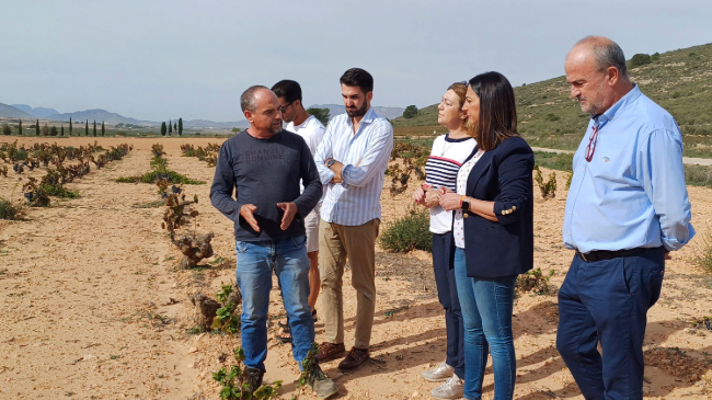 La consejera Sara Rubira visita un cultivo de vi&ntilde;edo en Jumilla