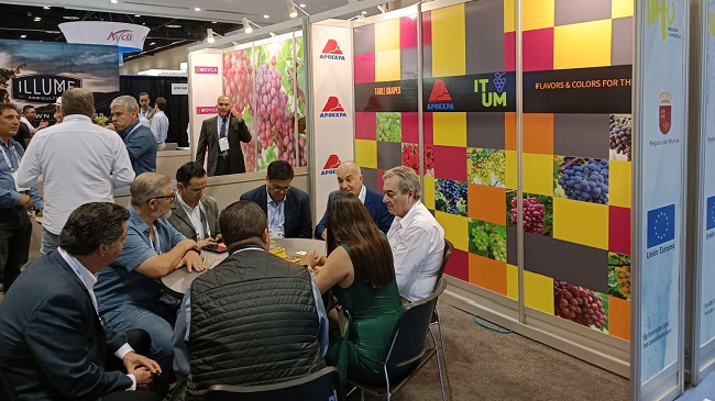 Empresas productoras de uvas de mesa de la Región participaron en la feria PMA Fresh Summit 2022, en Orlando (Florida) Empresas productoras de uvas de mesa de la Región participaron en la feria PMA Fresh Summit 2022, en Orlando (Florida)