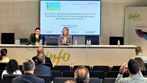 Momento de la jornada sobre proyectos europeos
