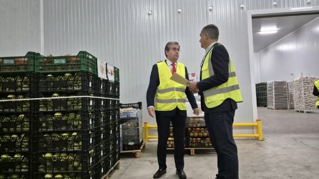 Imagen de unos palets llenos de productos b&aacute;sicos