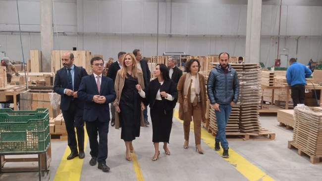 La consejera, Marisa L&oacute;pez Arag&oacute;n, durante la visita a una de las empresas del mueble - CARM