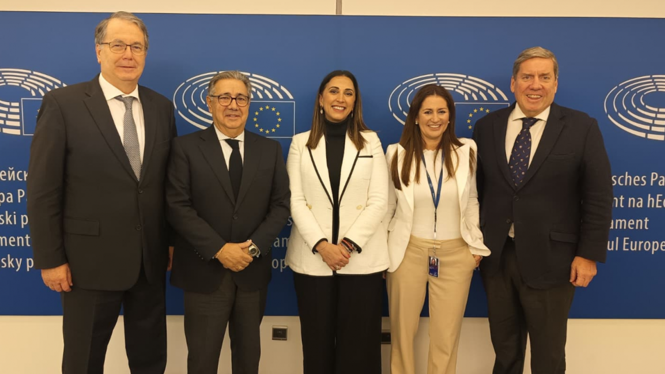 La consejera Sara Rubira junto a los europarlamentarios, tras la reuni&oacute;n mantenida en Bruselas