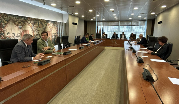 Constitución de la Comisión Especial de Investigación sobre posibles perjuicios causados a la Región de Murcia.