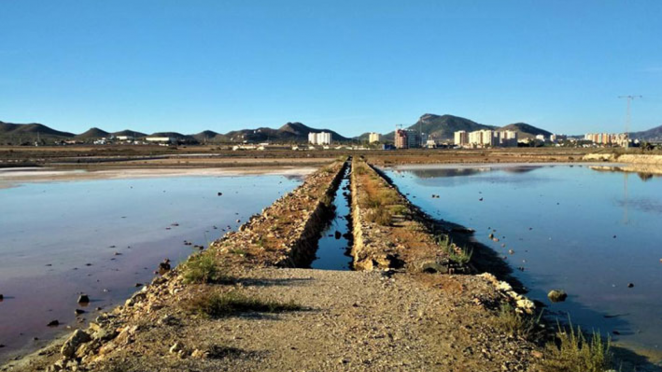 Las salinas de Marchamalo - ITREM Las salinas de Marchamalo - ITREM