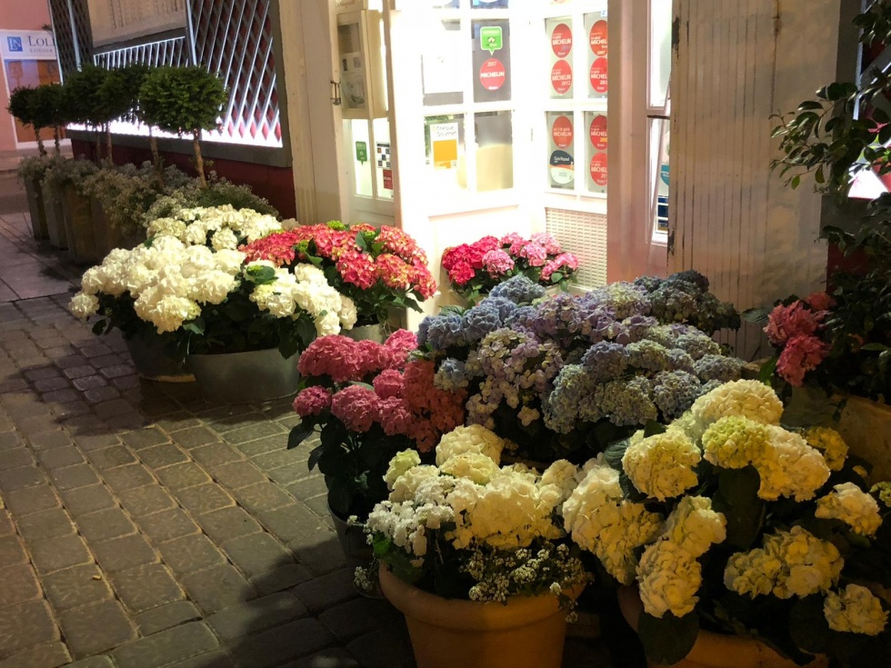 [Img #86871]