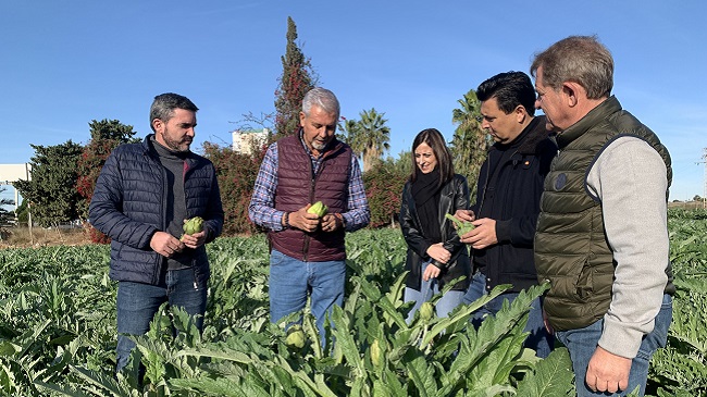 El consejero Antonio Luengo y el alcalde de San Javier, Jos&eacute; Miguel Luengo, durante su visita a una finca de alcachofas del municipio