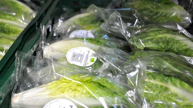 Lechugas en envase de pl&aacute;stico