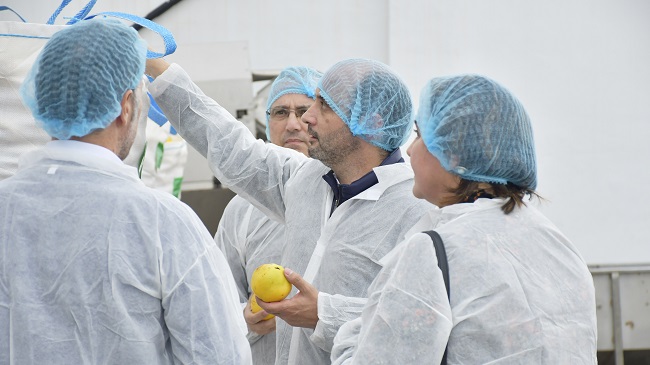 El director del Info, Joaqu&iacute;n G&oacute;mez, durante la visita a  la empresa Emily Foods, en Las Torres de Cotillas, que se encarga de la producci&oacute;n de dulce de membrillo