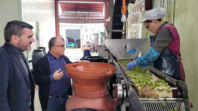 El consejero de Agricultura en la empresa Encurtidos y Aceitunas Guillam&oacute;n