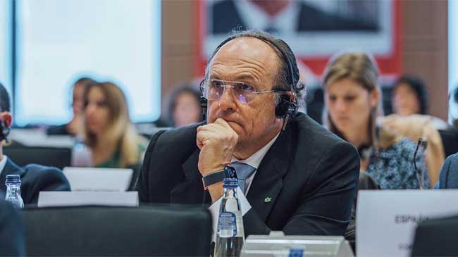 Imagen de archivo de Luis Gestoso en una sesi&oacute;n del Parlamento Europeo