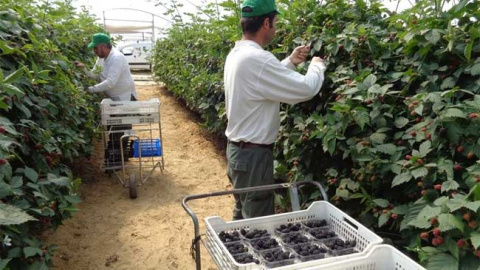 Las empresas agr&iacute;colas llevan 21 meses consecutivos de ca&iacute;das de las ventas