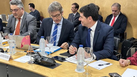 El consejero de Econom&iacute;a, Luis Alberto Mar&iacute;n, en el Consejo de Pol&iacute;tica Fiscal y Financiera