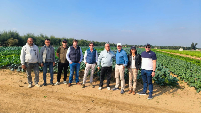 Integrantes de Proexport visitando una producci&oacute;n hort&iacute;cola en el Delta del Nilo