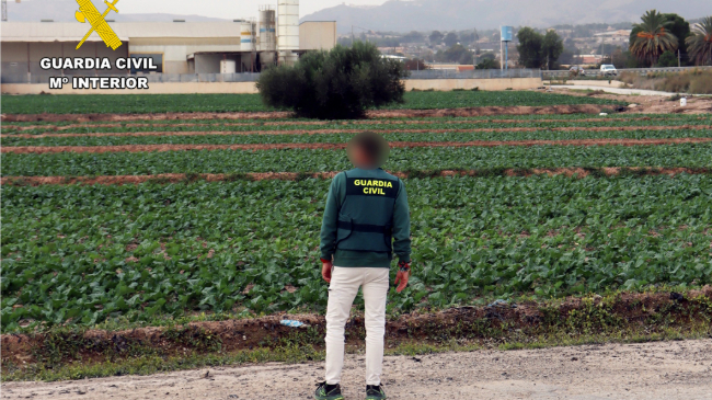 Imagen de la operaci&oacute;n 'Flotas' - Guardia Civil