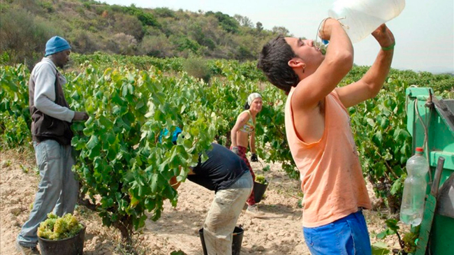 Trabajadores del campo