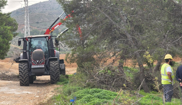 Maquinaria operando sobre el estrato arb&oacute;reo en la Colada de Cantarranas, cerca de Los Belones en Cartagena.
