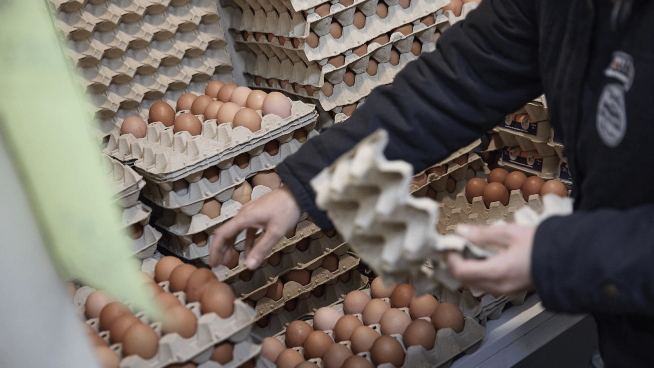 Huevos en un supermercado - Jesús Hellín - Europa Press Huevos en un supermercado - Jesús Hellín - Europa Press