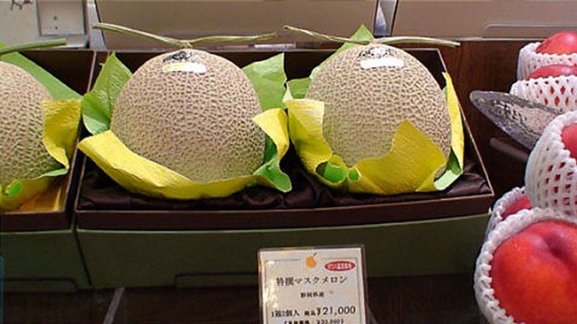 [Img #49364]
