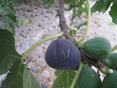 [Img #49473]