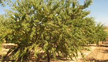 [Img #7357]